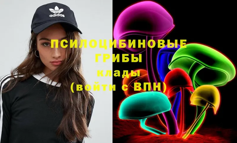 Галлюциногенные грибы Psilocybe  Райчихинск 